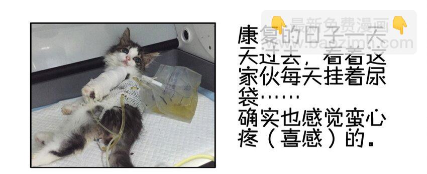 🍱殺手古德 900 九百话纪念 第50页