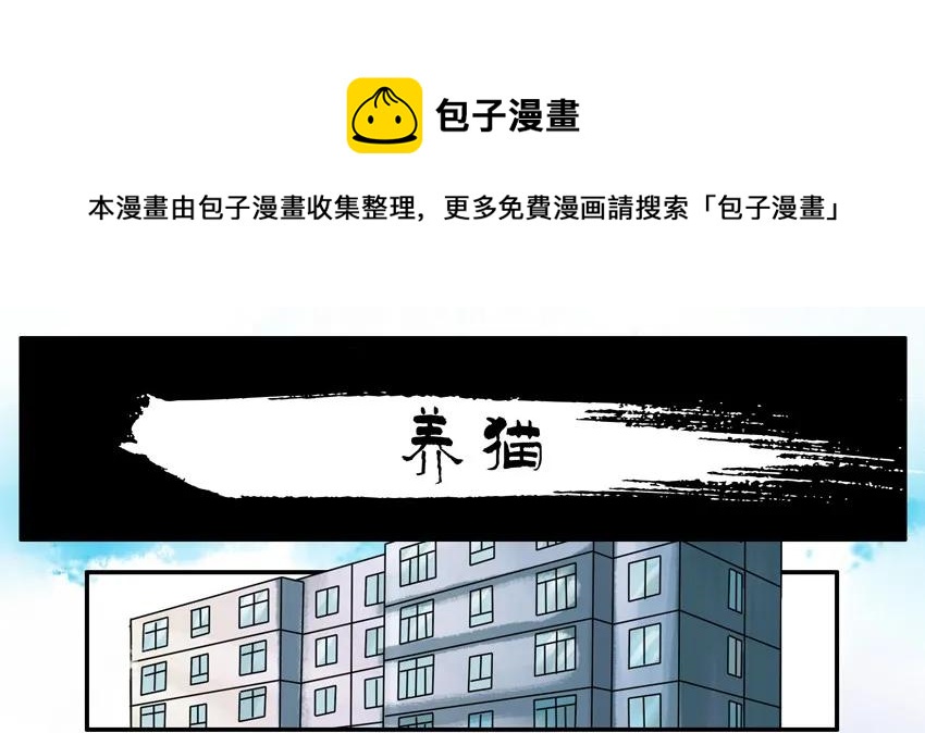 🍱殺手古德 904 养猫 第1页