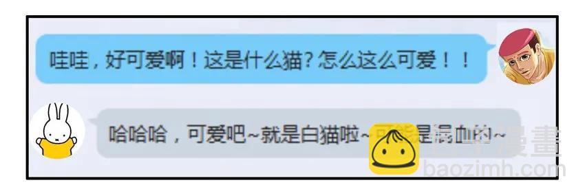🍱殺手古德 904 养猫 第10页