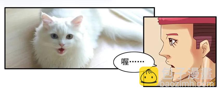 🍱殺手古德 904 养猫 第8页