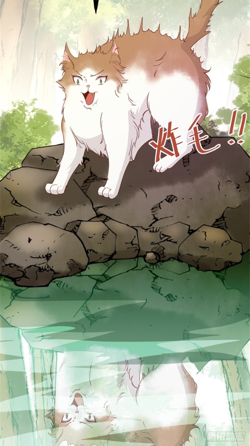 30-喵？？-第32话