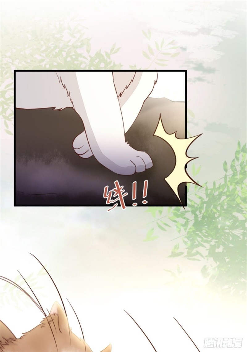 30-喵？？-第32话