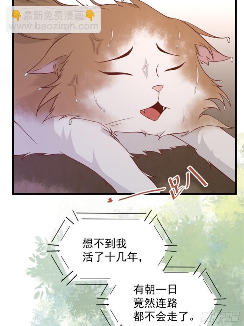 30-喵？？-第32话