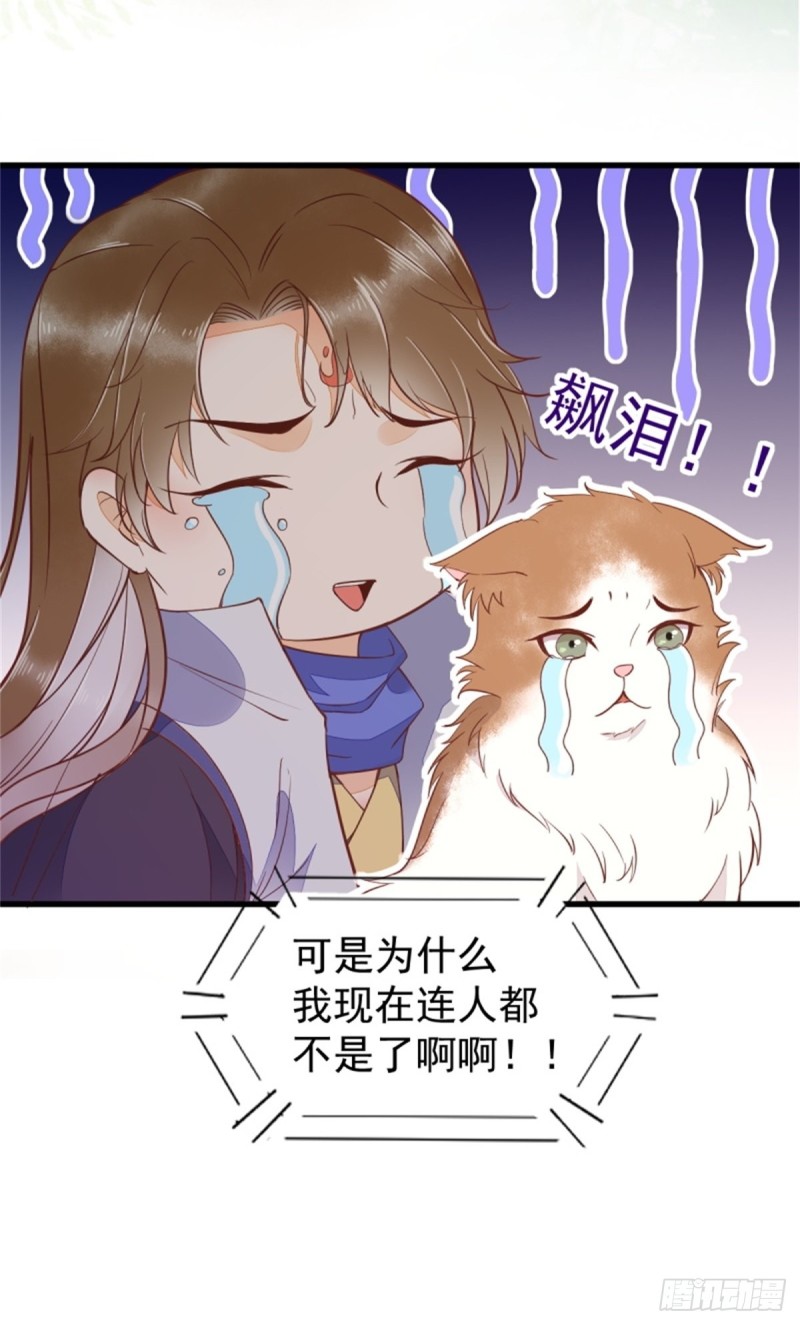 30-喵？？-第32话