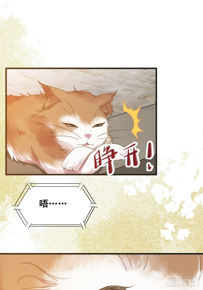 32-喵仙人？-第34话