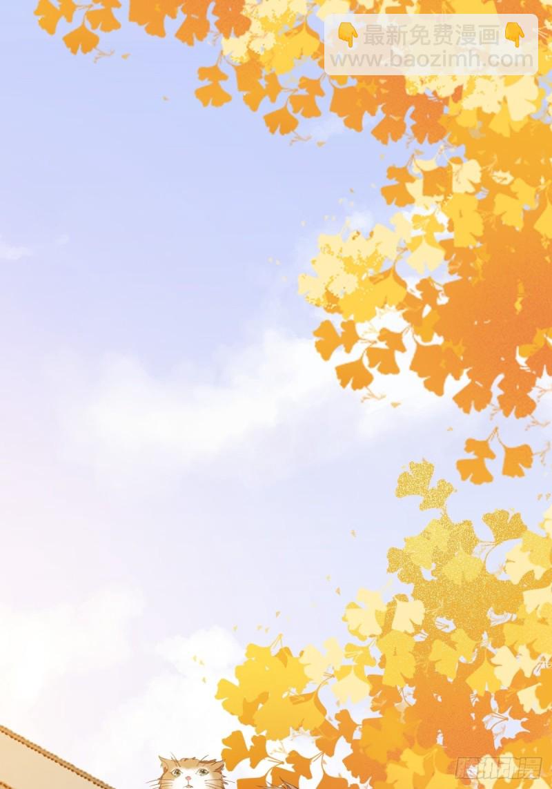 32-喵仙人？-第34话