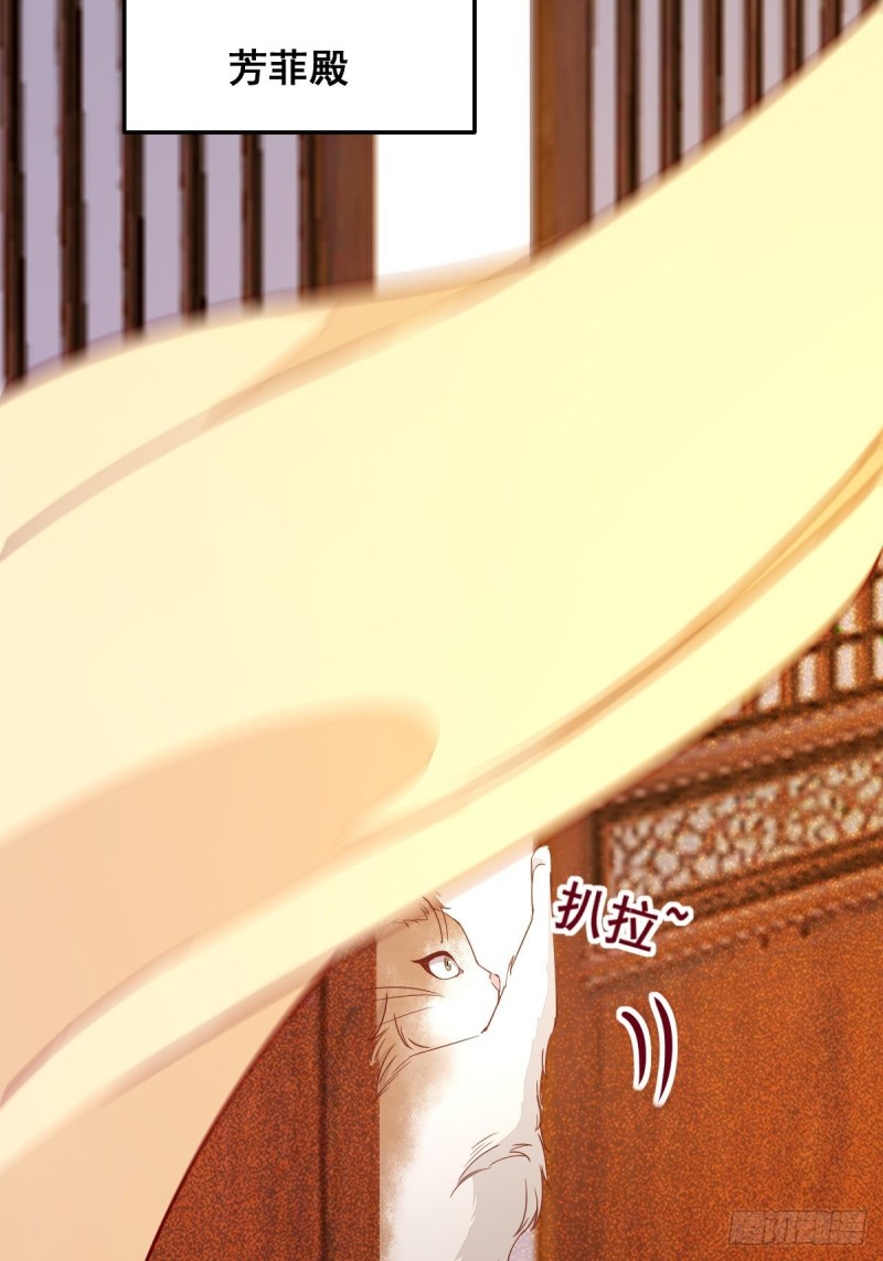 32-喵仙人？-第34话