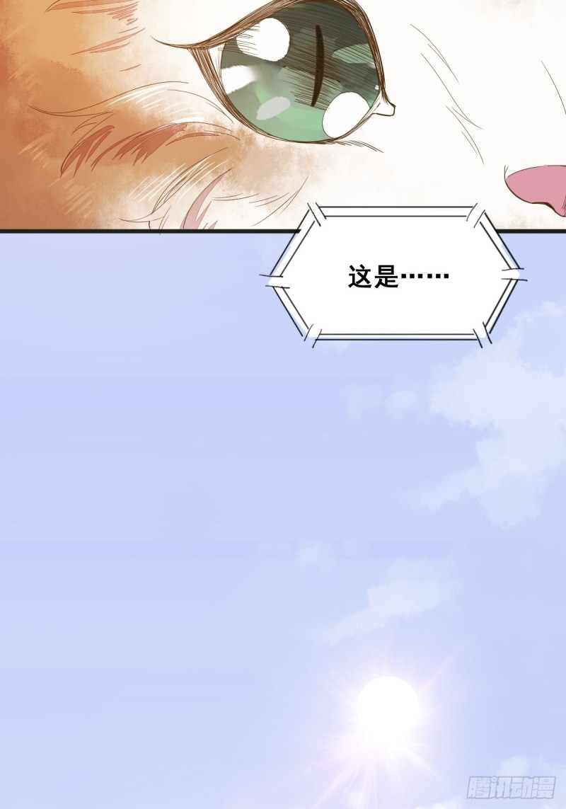 32-喵仙人？-第34话