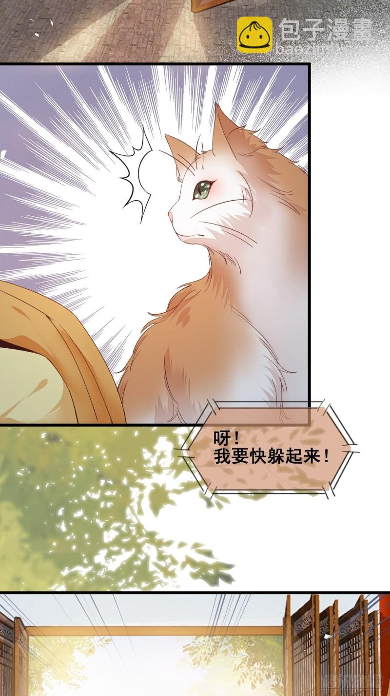 32-喵仙人？-第34话