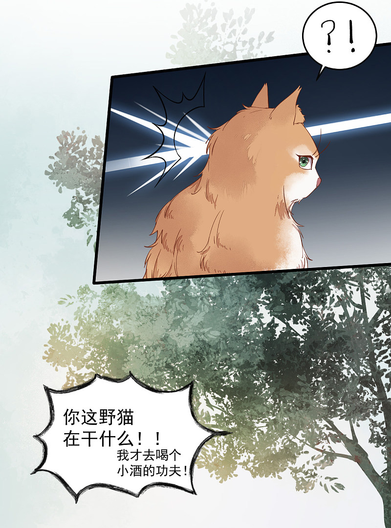 37-一只逃跑喵-第40话
