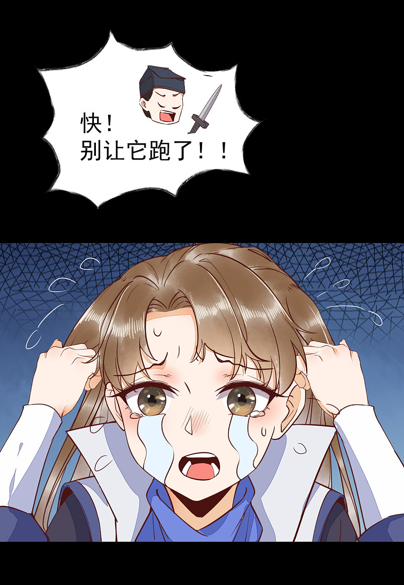 37-一只逃跑喵-第40话