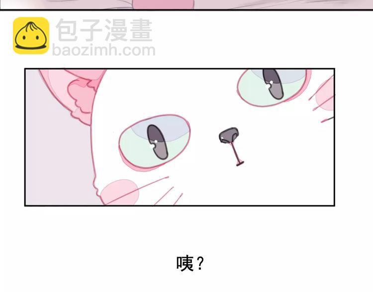 第1话 从天而降的萌宠(1/2)-第2话