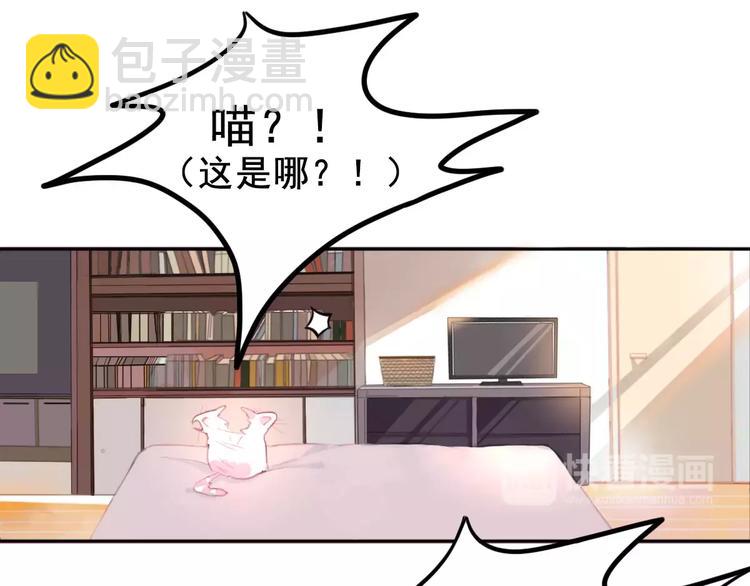 第1话 从天而降的萌宠(1/2)-第2话