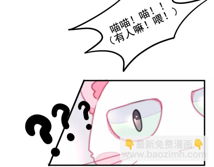 第1话 从天而降的萌宠(1/2)-第2话