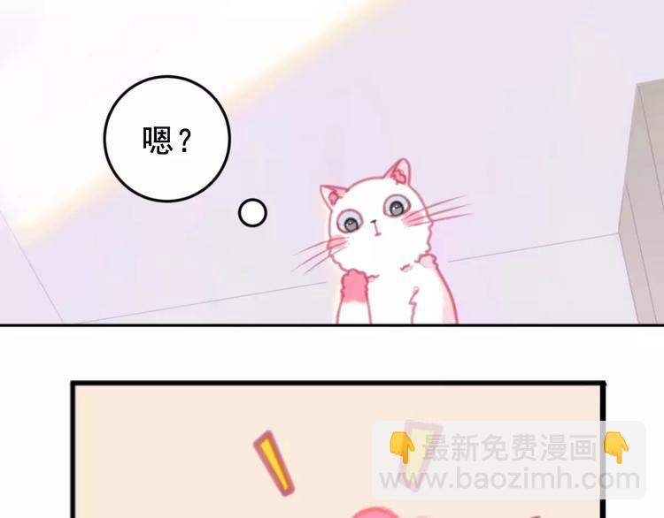 第1话 从天而降的萌宠(1/2)-第2话
