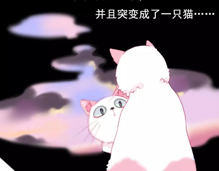 第1话 从天而降的萌宠(1/2)-第2话