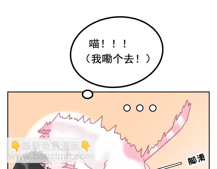 第1话 从天而降的萌宠(1/2)-第2话