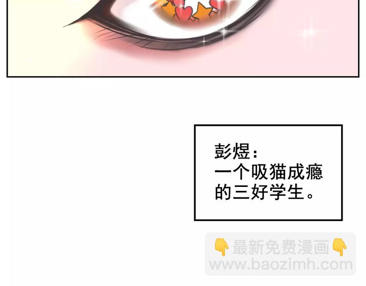 第1话 从天而降的萌宠(1/2)-第2话