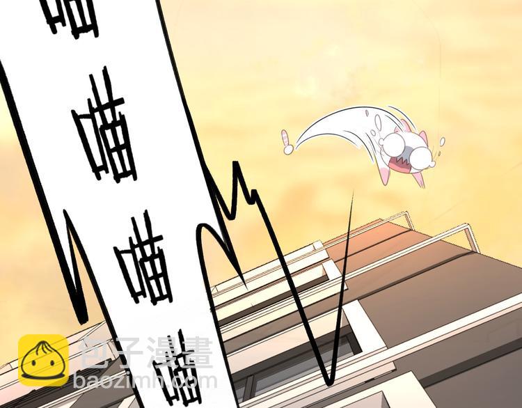 第12话 怀中抱猫(1/2)-第12话