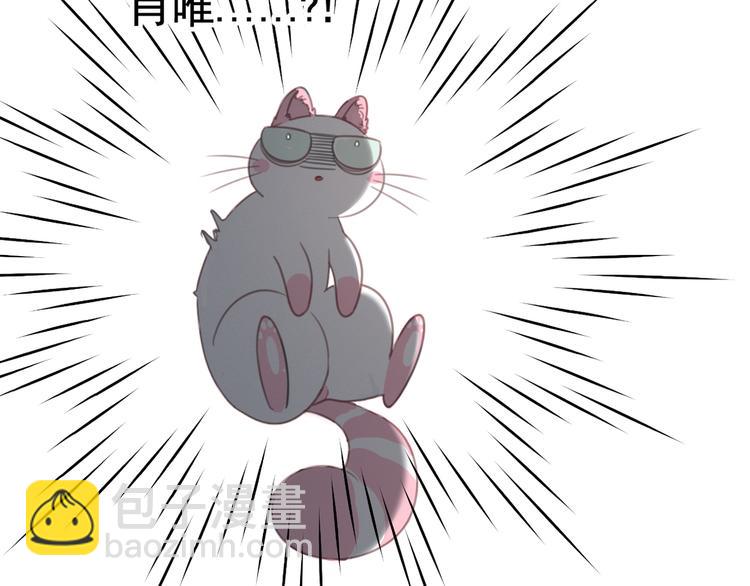 第12话 怀中抱猫(1/2)-第12话