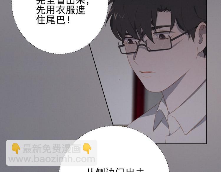 第19话 尾巴露出来了(1/2)-第20话