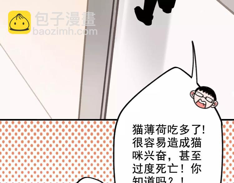 第4话 别当我是病喵(1/2)-第4话