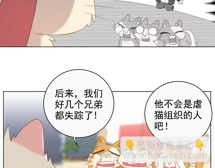 第33话 我的情敌是只猫？(1/2)-第34话