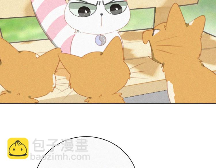 第33话 我的情敌是只猫？(1/2)-第34话