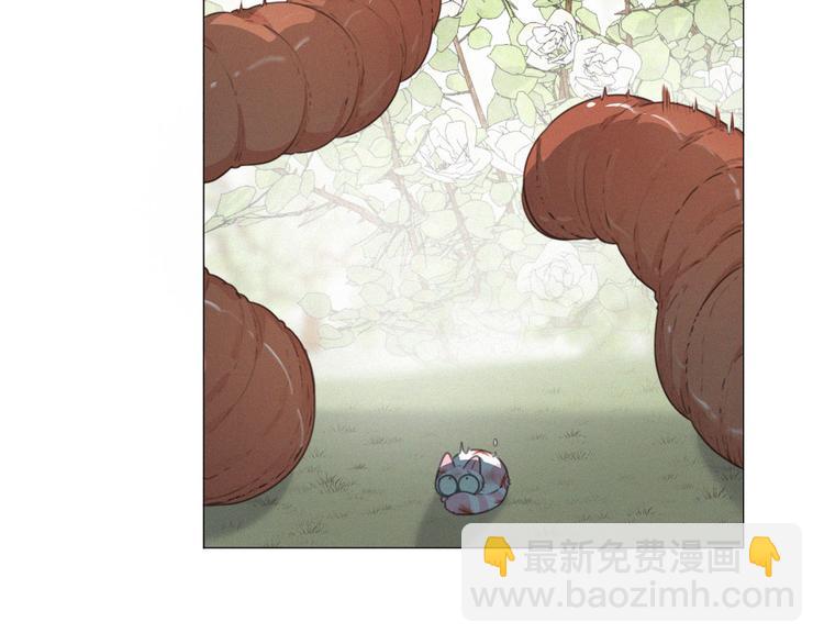 第44话 等我！️️️(1/3)-第88话