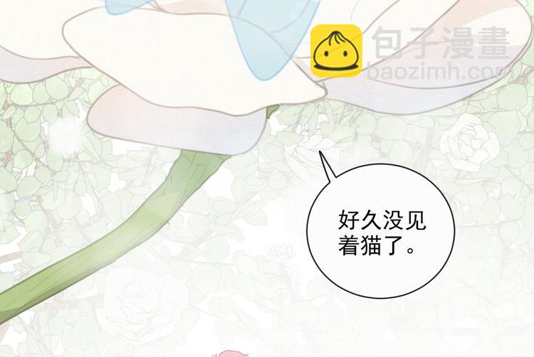 第44话 等我！️️️(1/3)-第88话
