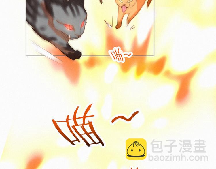 第56话 请放我自由(1/2)-第100话