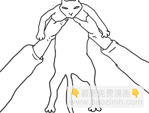 第40话 猫屎太臭了吧-第40话