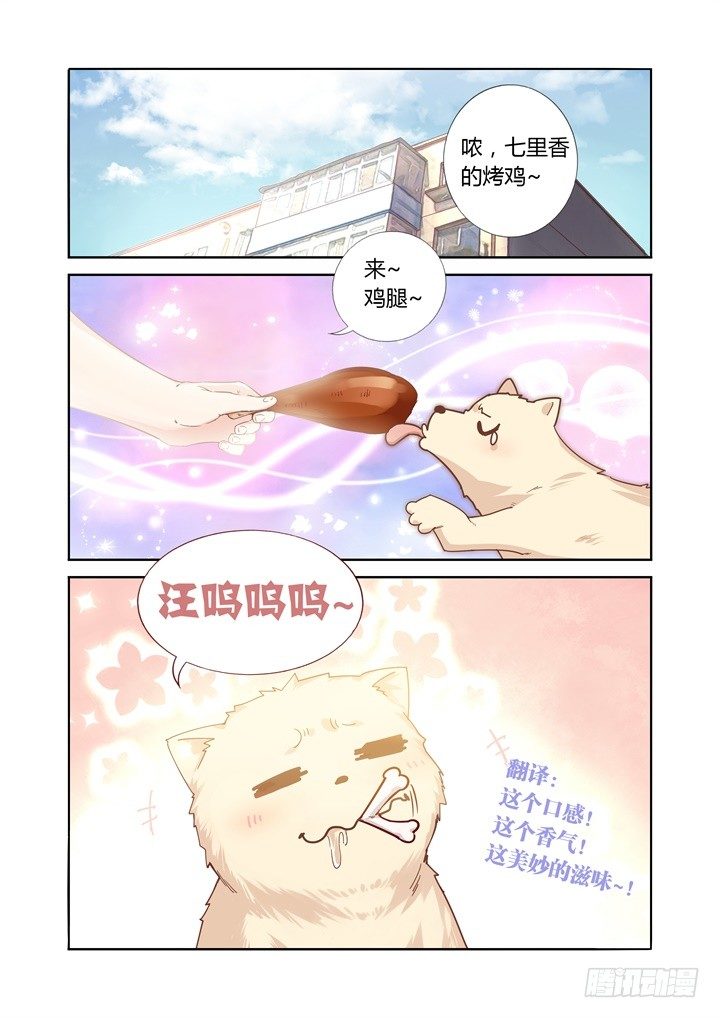49.考试-第50话