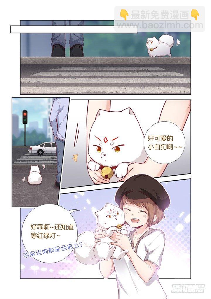 71.绑架开始-第72话