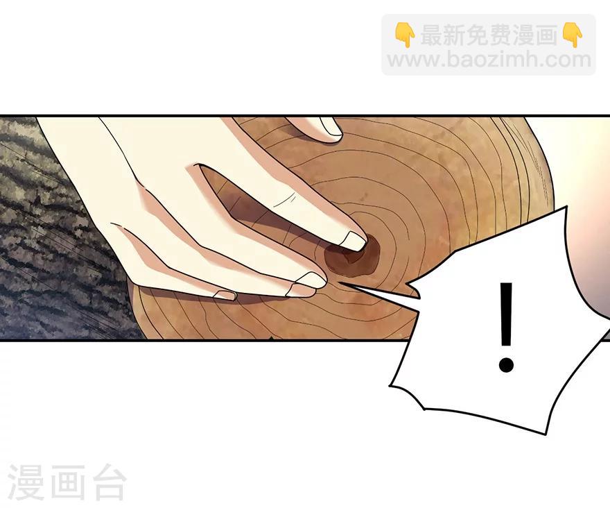 第47话 赌树1(1/2)-第54话