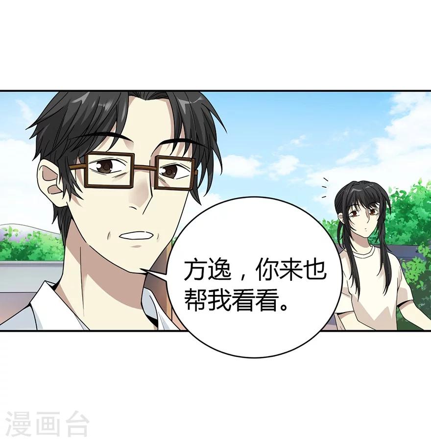 第47话 赌树1(1/2)-第54话