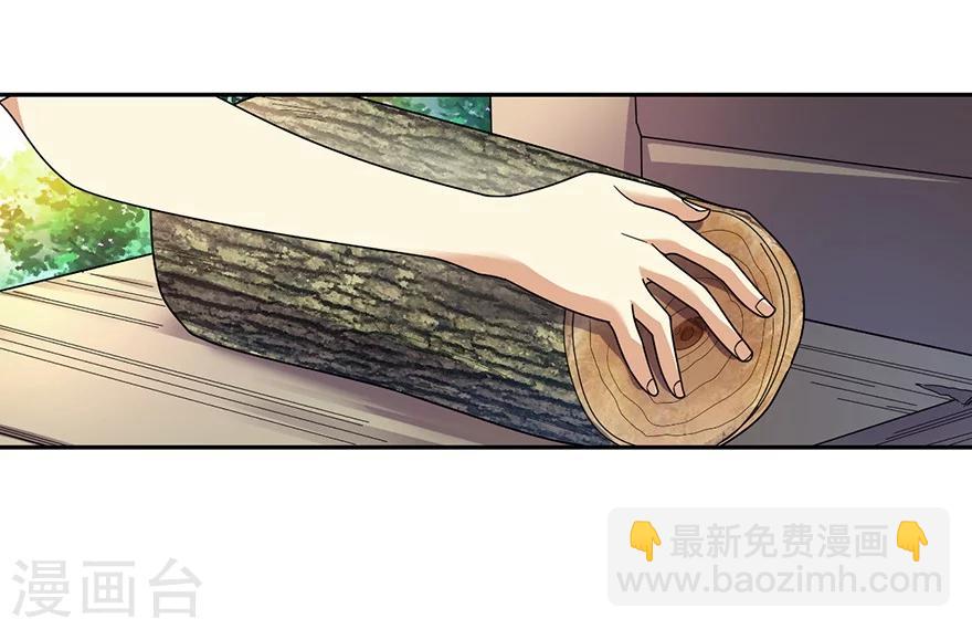 第47话 赌树1(1/2)-第54话