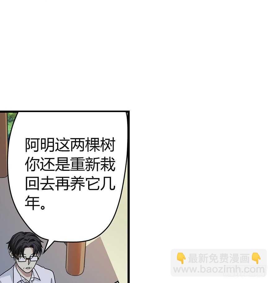 48 赌树（下）(1/2)-第50话