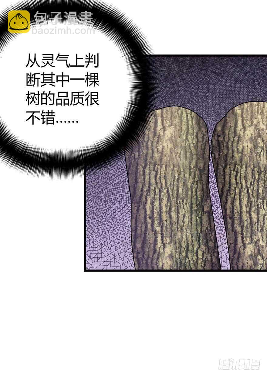 48 赌树（下）(1/2)-第50话