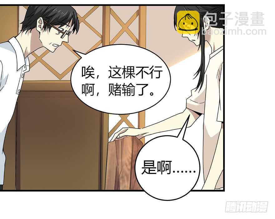 48 赌树（下）(1/2)-第50话
