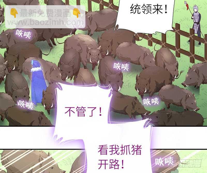 第33话 抓猪小能手(1/2)-第34话