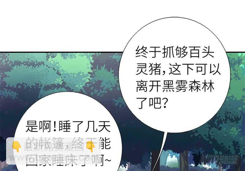 第33话 抓猪小能手(1/2)-第34话