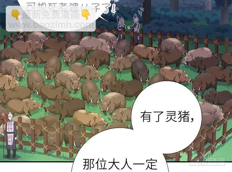 第33话 抓猪小能手(1/2)-第34话