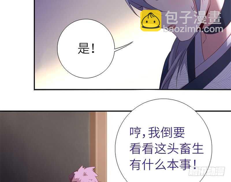 第33话 抓猪小能手(1/2)-第34话