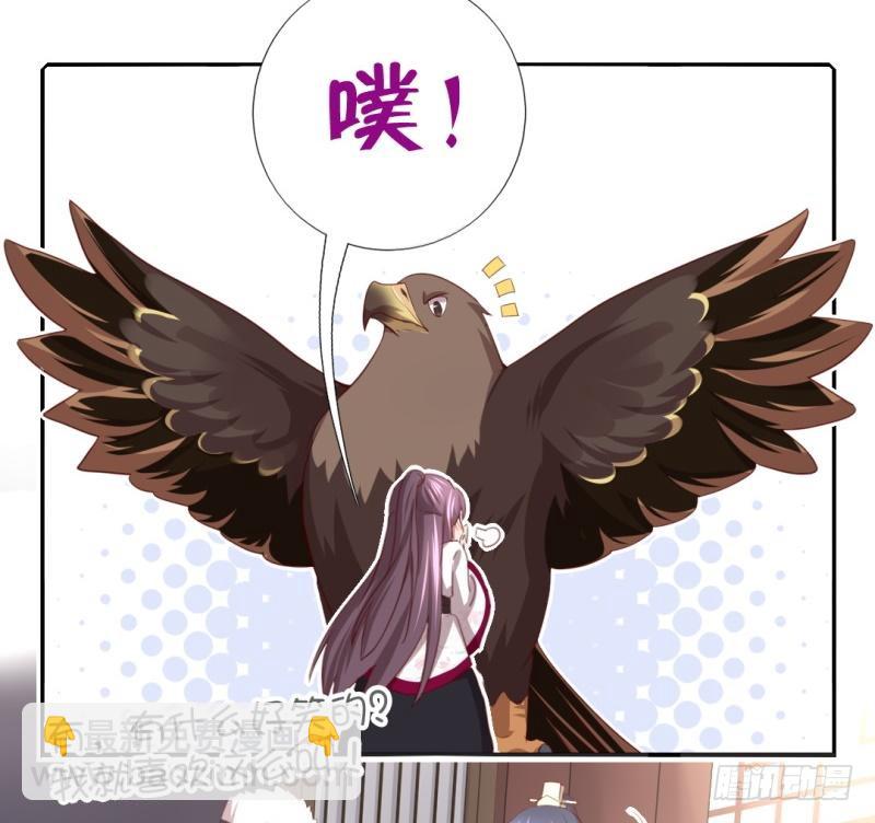 第83话 熊六十六-第84话