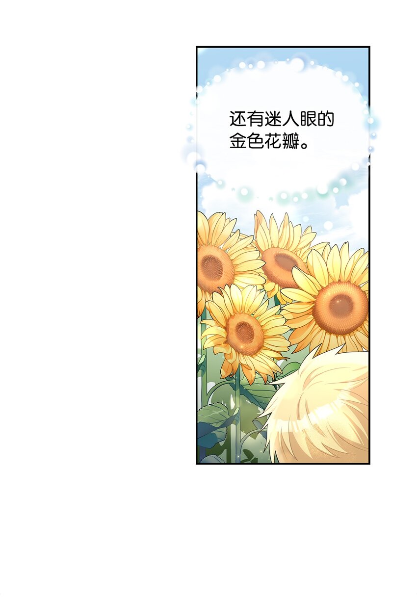 48 久别重逢(1/2)-第50话