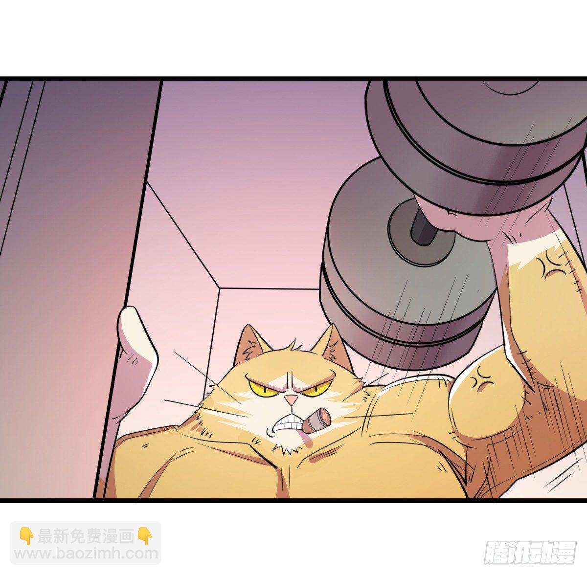 红娘（下）(1/2)-第64话