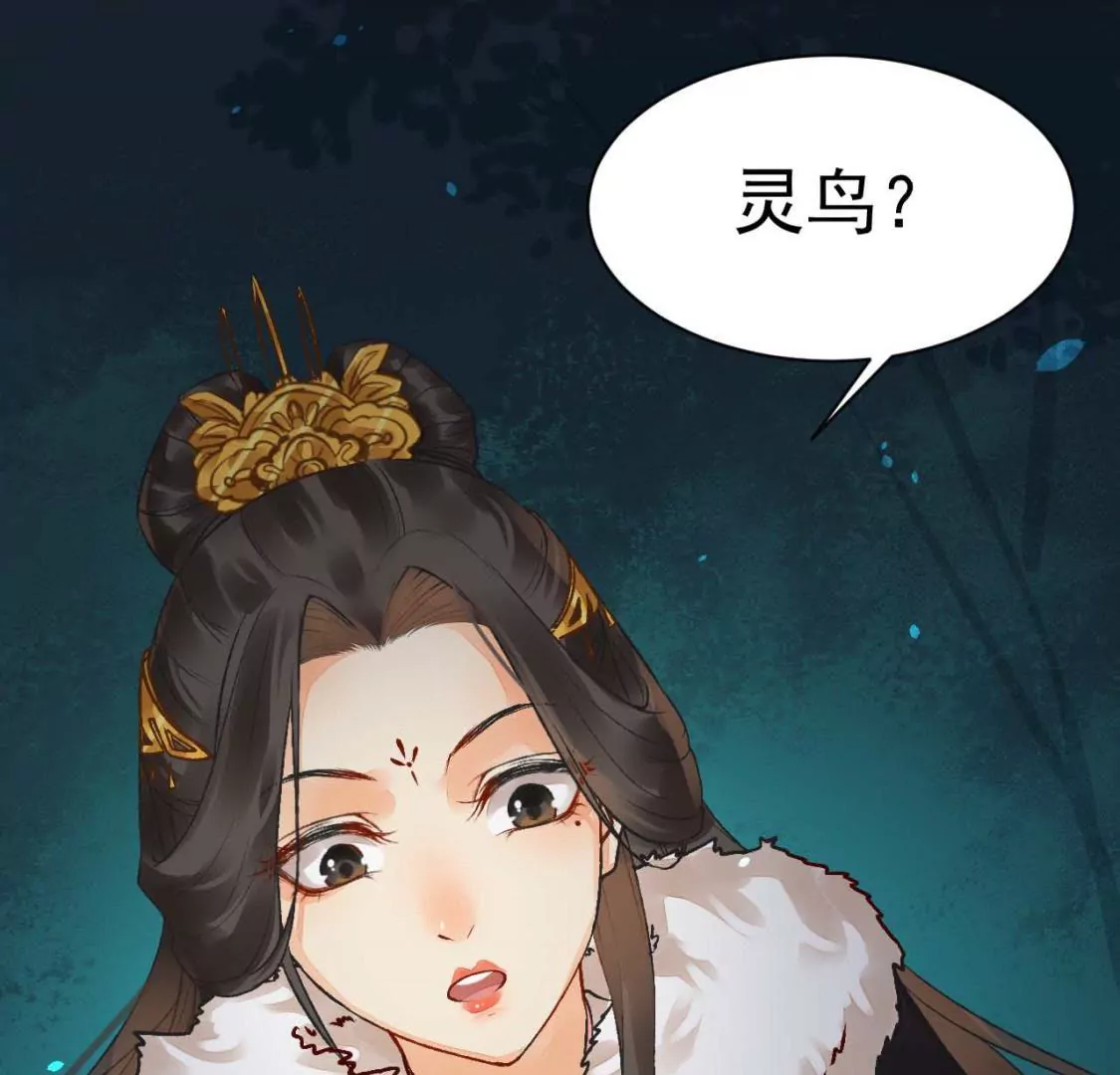 第3话 灵鸟啾啾(1/2)-第4话