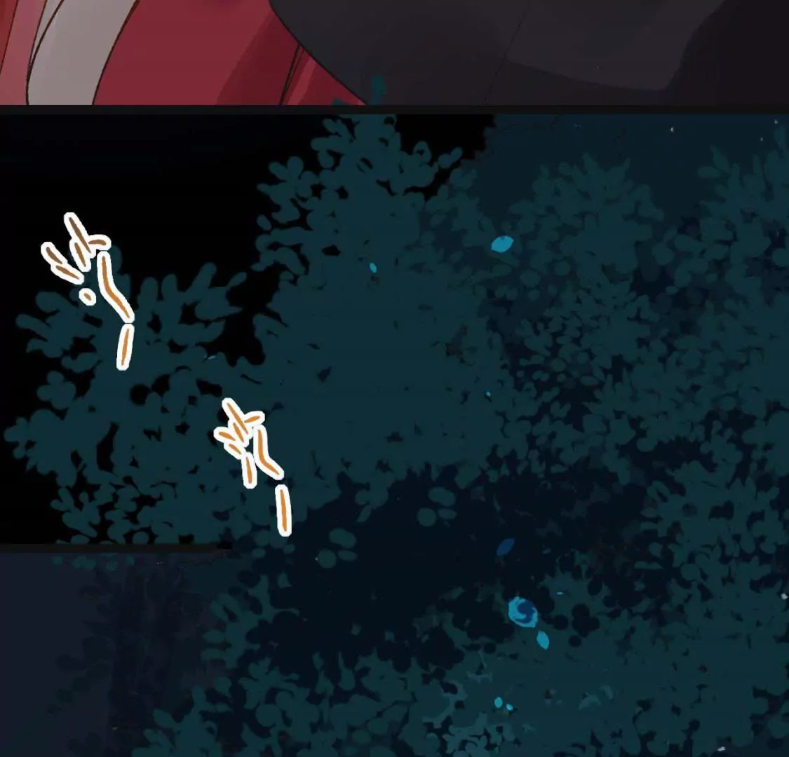 第3话 灵鸟啾啾(1/2)-第4话