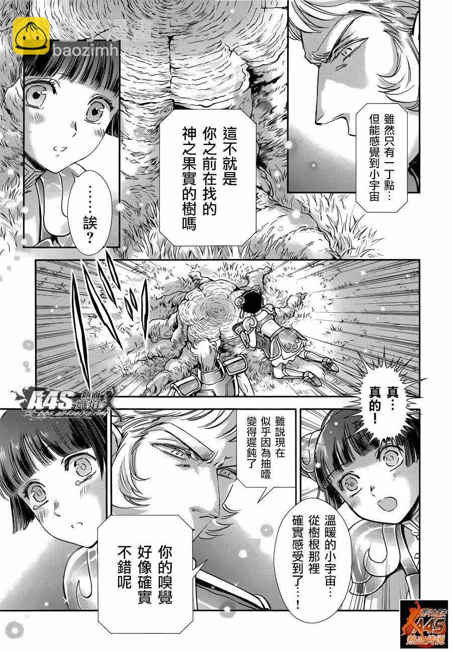 🍱圣斗士星矢 圣斗少女翔 第41话 彗星雷帕鲁斯 第10页